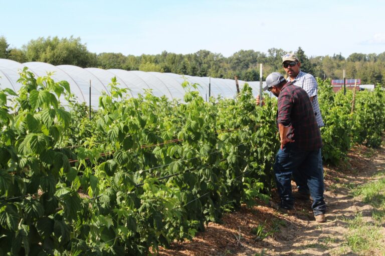 Why We Recommend Voting No on Initiative 2117