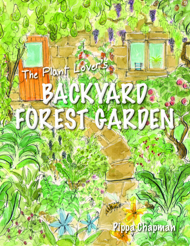 the plant lover's backyard forest garden