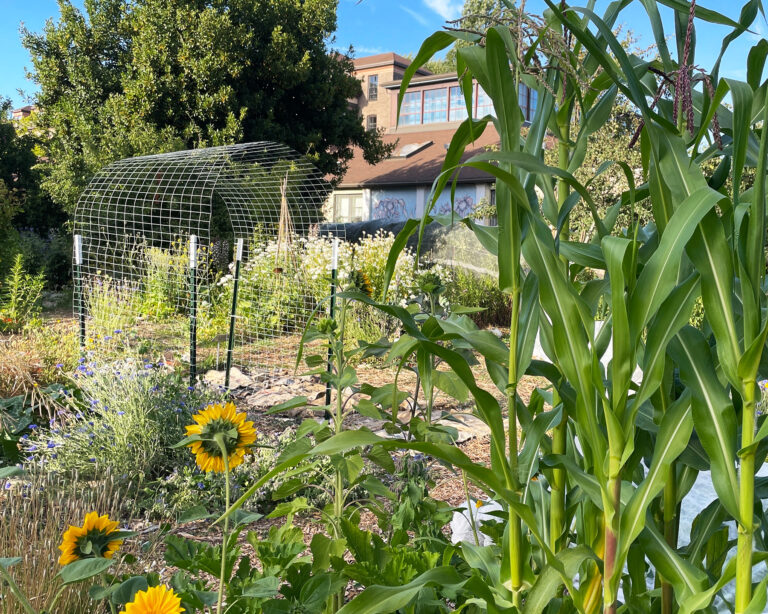 Cool Season & Warm Season Crops