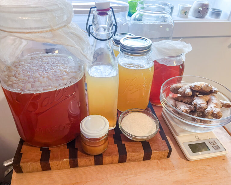 Bubble Up Some Fun: Fermented Ginger Bug