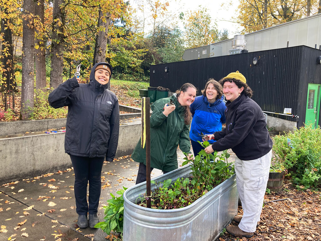 Educators harvesting from a container garden