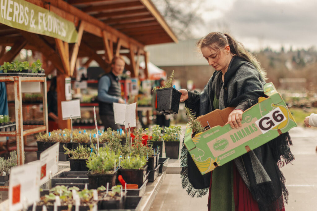 A woman selects plants, carrying them in a reused cardboard box.
