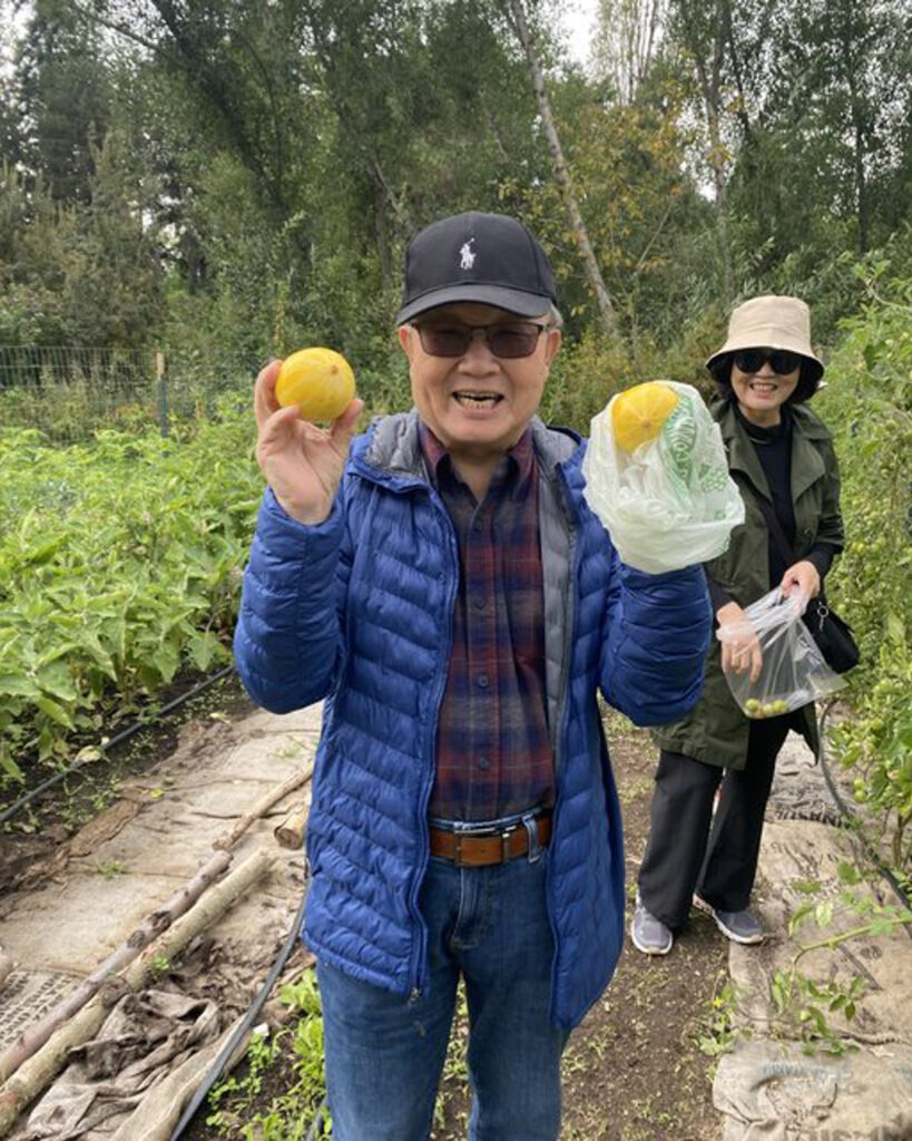 Older adult holding freshly picked fruit in community garden